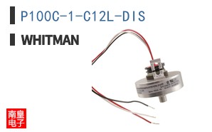 P100C-1-C12L-DIS ͼƬ